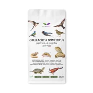 Grilli liofilizzati Acheta domesticus da reidratare