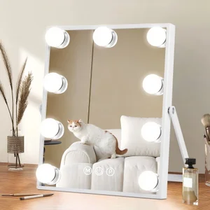 Hollywood Vanity Mirror with Lights, Light Up Makeup Mirror with 9 LED